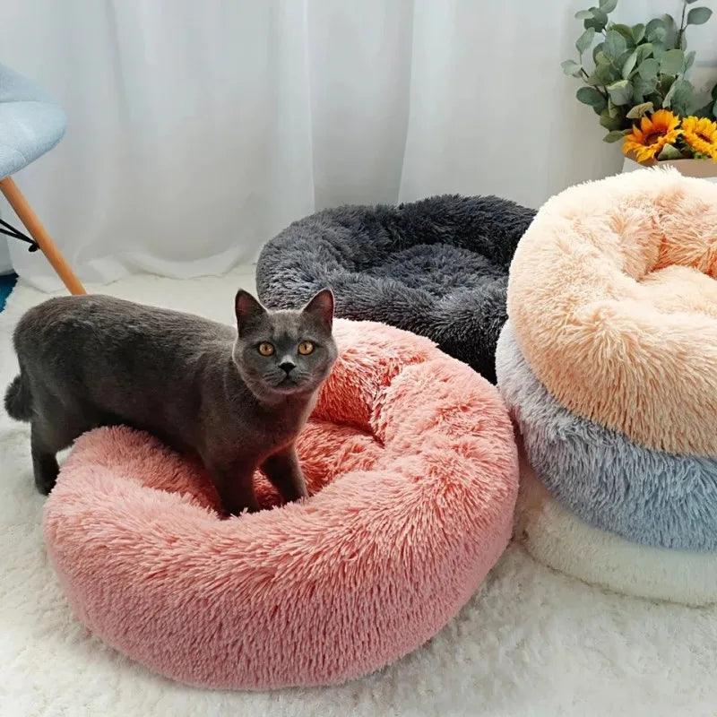 Plush Paws Pet Bed